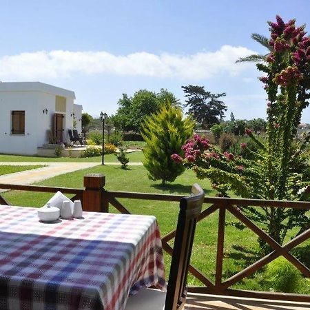 Rizokarpaso Villa Lembos Hotel Karpaz מראה חיצוני תמונה